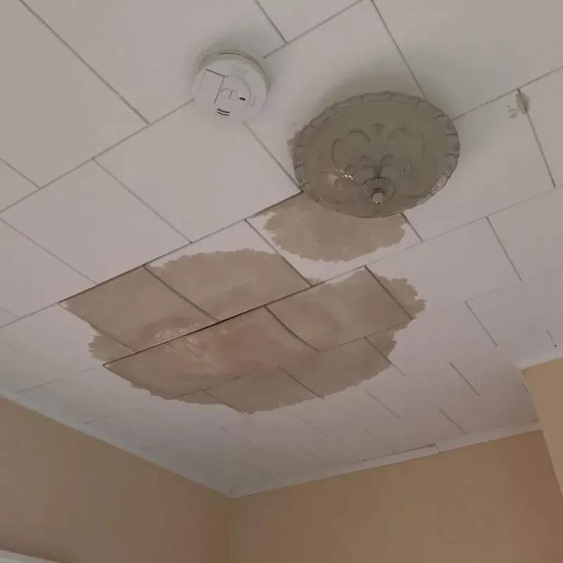 Ceiling Water Damage Repair in Harrisville, NH