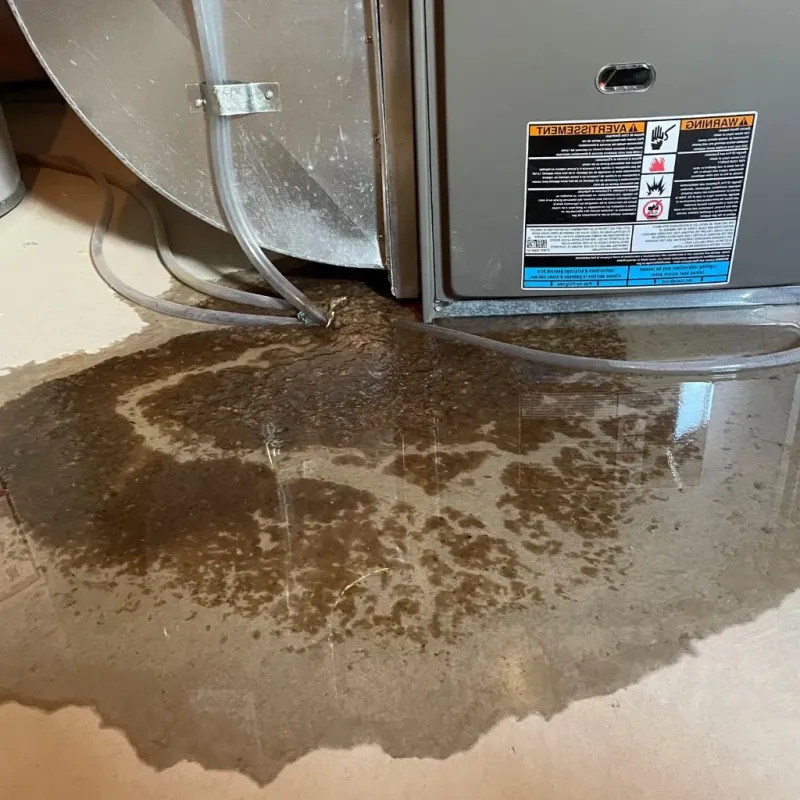 Pipe Burst and Leak Restoration in Harrisville, NH